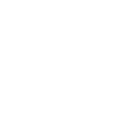 icon-visual
